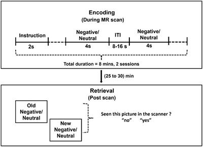 Age-related reduction in anxiety and neural encoding of negative emotional memory